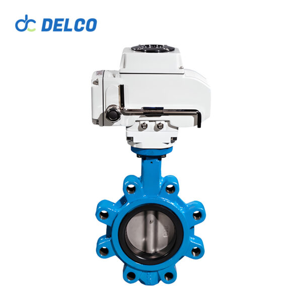 lug butterfly valve