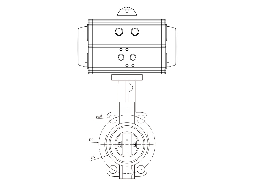 pneumatic actuator