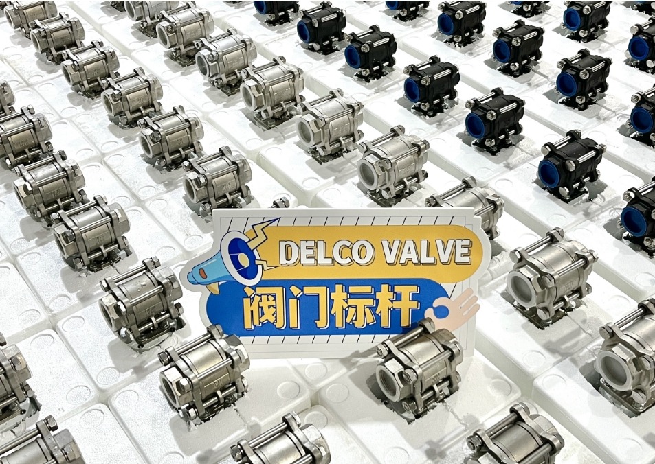 Pneumatic Valves