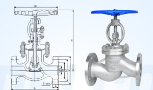 Manual Globe Valve