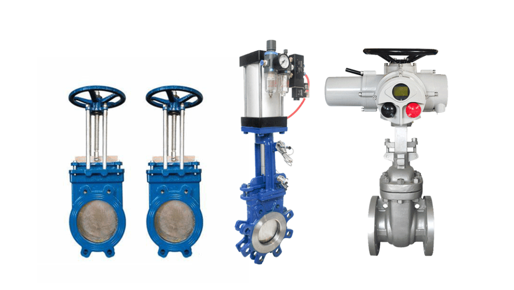 gate valve