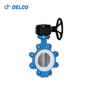 Manual Lug Type Butterfly Valve