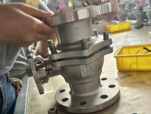 Flanged Ball Valve