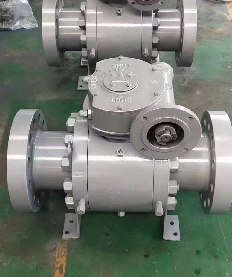 Trunnion mounted ball valves