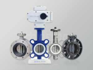 Butterfly Valve