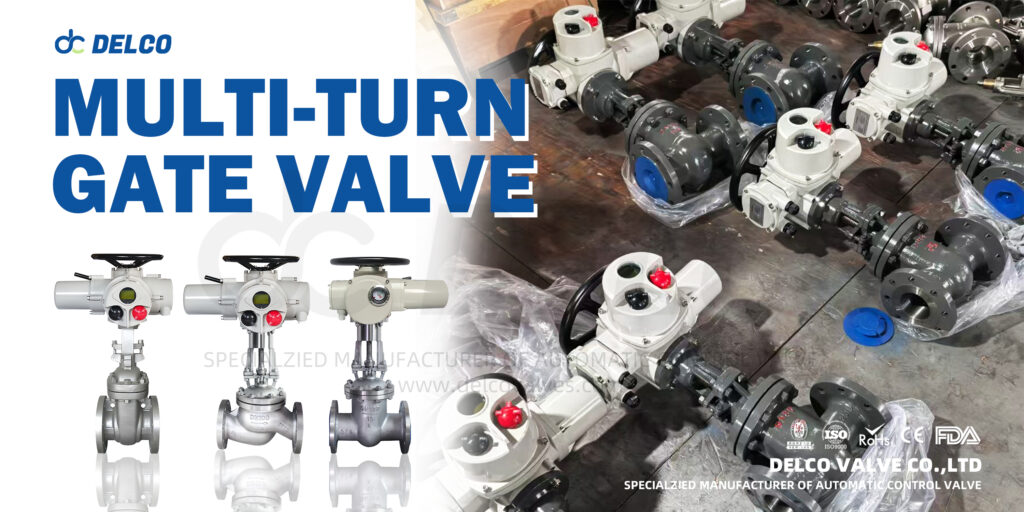 gate valve