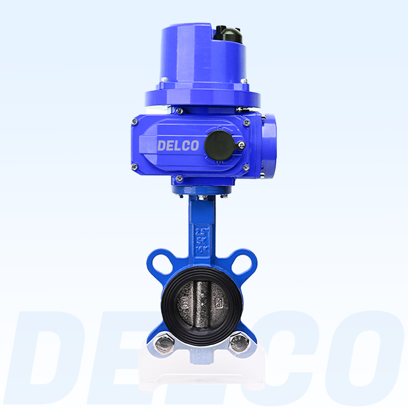 DKS Electric Actuator valve